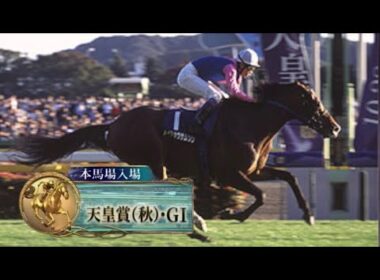 2007年第136回天皇賞秋(G1)本馬場入場