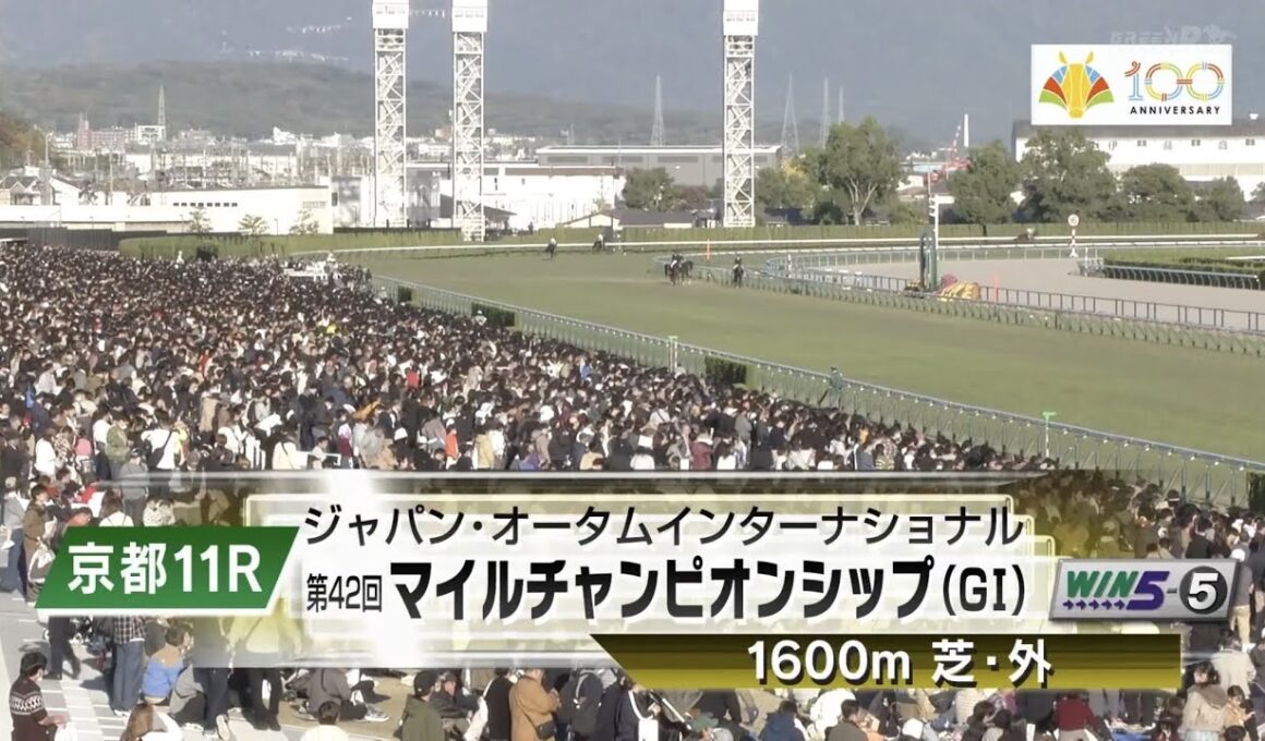 【本馬場入場】2025年11月23日 第42回 マイルチャンピオンシップ(G1) ジャンタルマンタル/川田将雅