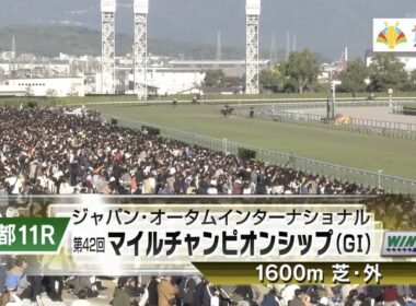 【本馬場入場】2025年11月23日 第42回 マイルチャンピオンシップ(G1) ジャンタルマンタル/川田将雅