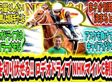 『混沌マイル戦を最後方から切り伏せる‼ ロデオドライブ NHKマイルC制覇ァ‼』に対するみんなの反応【競馬の反応集】