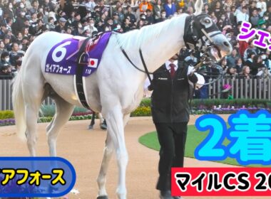 【マイルCS 2025】芦毛はマイルCSで走らないジンクスをぶっ壊しに来たガイアフォース
