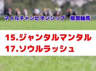 マイルチャンピオンシップ2025の推奨軸馬【最終結論】