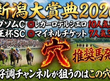 【新潟大賞典2026】推奨穴馬発表！これは人気なさすぎる！この超大穴に期待！