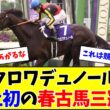 【朗報】クロワデュノール、史上初の春古馬三冠チャレンジへ