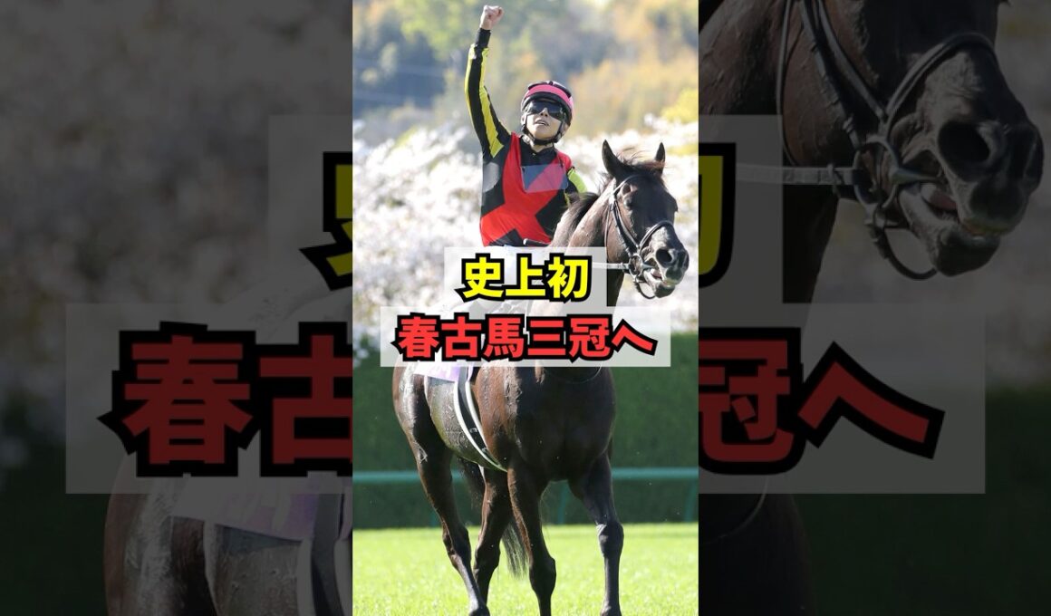 【朗報】クロワデュノール、史上初の春古馬三冠チャレンジへ #shorts