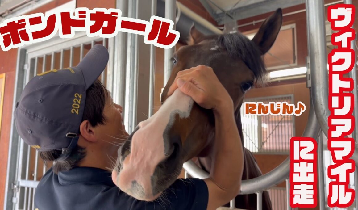 【ヴィクトリアマイル出走】ボンドガールのニンジンタイムにお邪魔しました