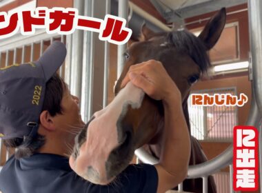 【ヴィクトリアマイル出走】ボンドガールのニンジンタイムにお邪魔しました