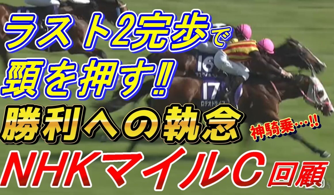 NHKマイルカップ2026　回顧　レーン騎手、勝利への執念‼ ロデオドライブの頸を押してハナ差出る‼　元馬術選手のコラム
