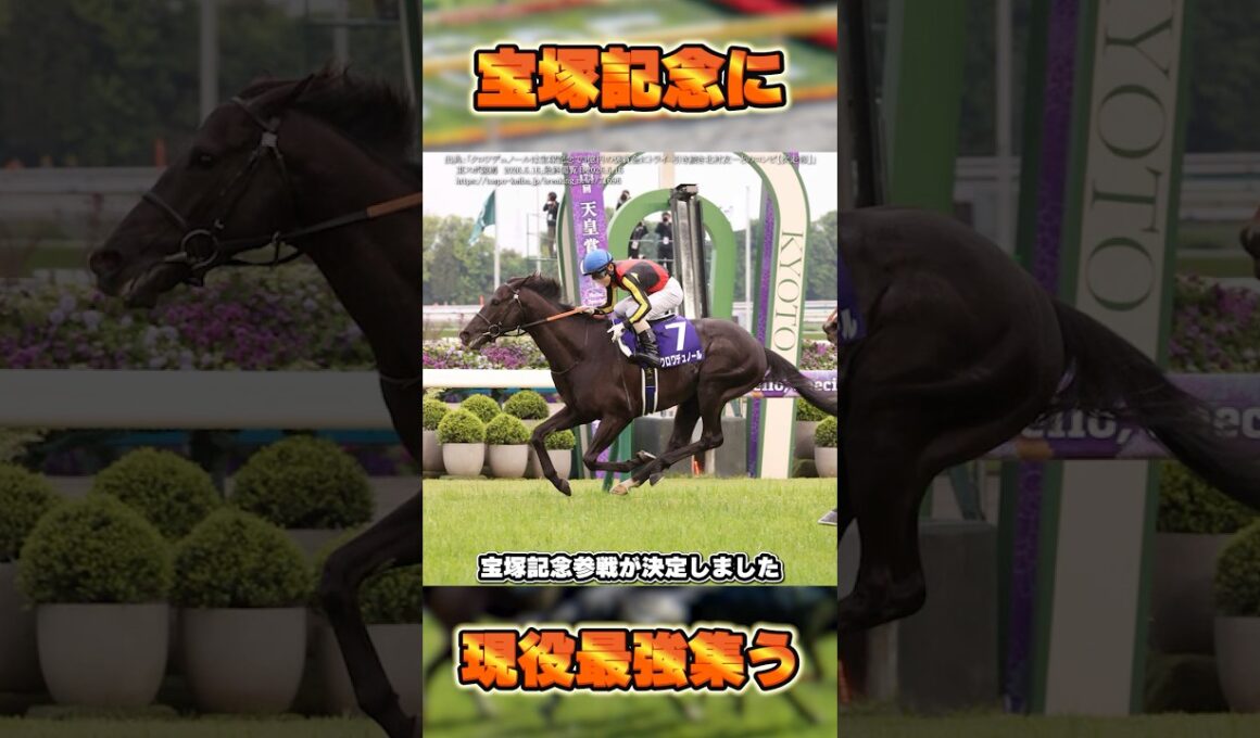 【宝塚記念2026】ミュージアムマイルとクロワデュノールが参戦決定！ #shorts #競馬 #競馬予想 #中央競馬予想 #馬 #宝塚記念 #ミュージアムマイル #クロワデュノール