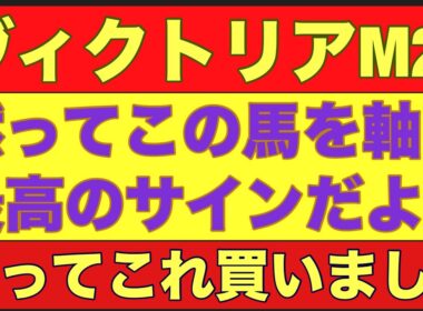 【ヴィクトリアマイル2026】のサイン軸馬予想！牝馬限定重賞は某枠が馬券に絡みやすい？#競馬 #ヴィクトリアマイル