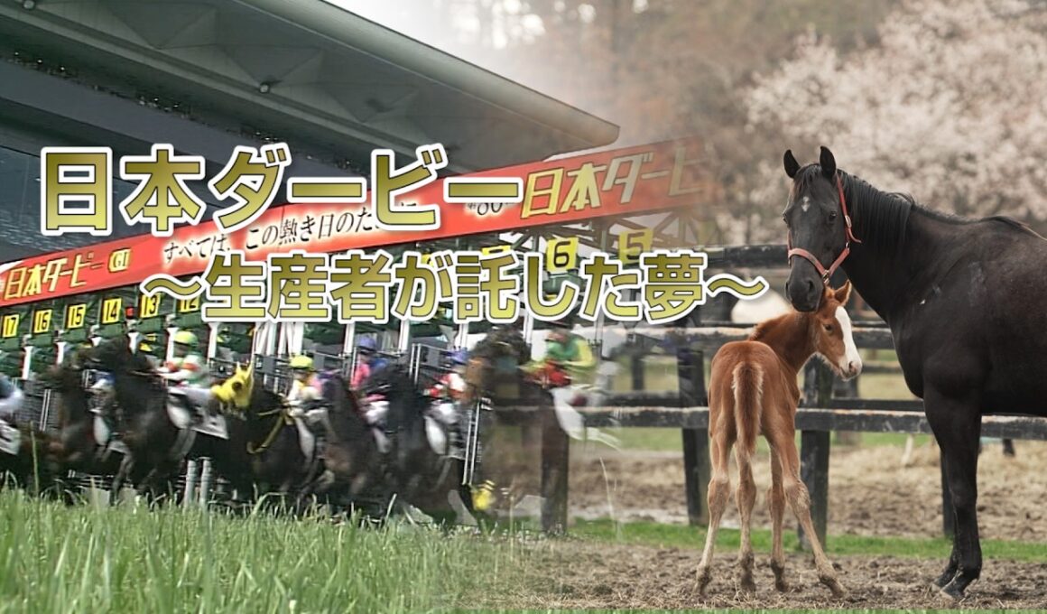 日本ダービー ～生産者が託した夢～ | ダノンキングリーとメイショウテンゲン | JRA公式