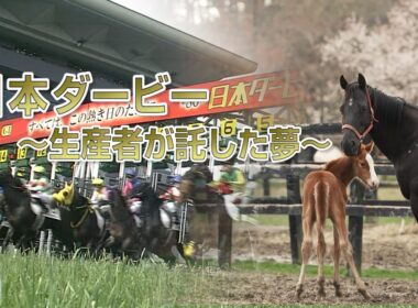 日本ダービー ～生産者が託した夢～ | ダノンキングリーとメイショウテンゲン | JRA公式