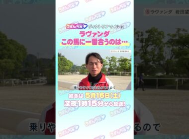ヴィクトリアマイル GⅠ トレセン直撃取材！ #競馬 #ヴィクトリアマイル #ラヴァンダ #岩田望来 騎手
