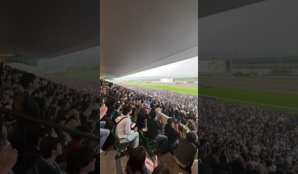 GWは天皇賞春で大歓声！