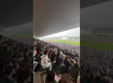 GWは天皇賞春で大歓声！