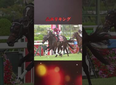 菊花賞2025本気予想！#競馬 #競馬予想 #中央競馬予想 #菊花賞 2025 #