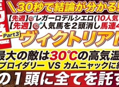 🎯30秒でわかる結論→【ヴィクトリアマイル2026予想】最大の敵は30℃の高気温？！エンブロイダリー VS カムニャックに結論！この１頭に全てを託す！！