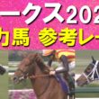 【桜花賞馬の二冠か？新たなヒロイン誕生か！？】スターアニス、ラフターラインズ、アランカール、ドリームコア、ジュウリョクピエロ・・・オークスの参考レースをお届け！