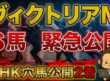 ２０２６年ヴィクトリアマイル予想【先週NHKマイルカップは穴馬　アスクイキゴミ公開　ヴィクトリアマイルも激穴狙う】