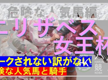 エリザベス女王杯２０２５（GⅠ）　危険な人気馬編！！前走のようにはいかないであろう馬！？※あくまで当チャンネルの見解です。