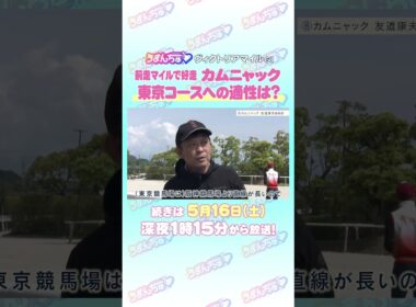 ヴィクトリアマイル GⅠ トレセン直撃取材！ #競馬 #ヴィクトリアマイル #カムニャック #友道康夫 調教師