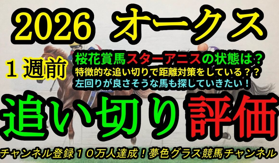 【1週前追い切り評価】2026オークス！スターアニスは距離対策で工夫した追い切りをしている！？左回りが良さそうな馬は？