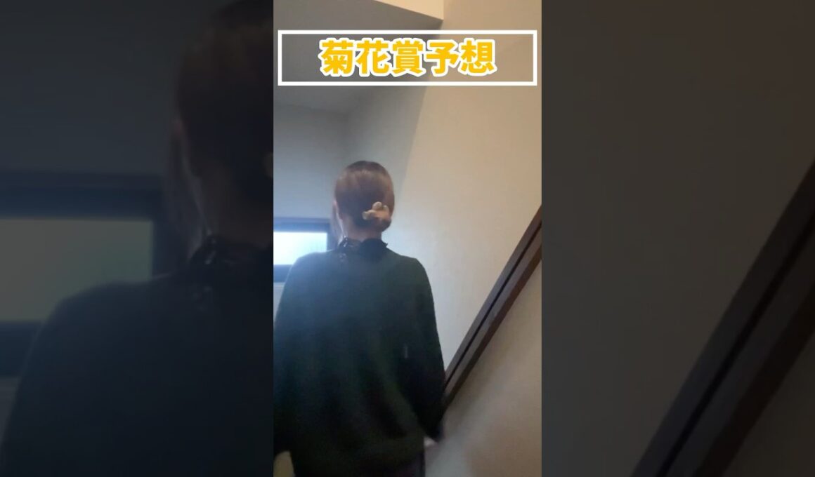 【菊花賞予想】みなさんの本命も教えてください！！#競馬予想 #菊花賞