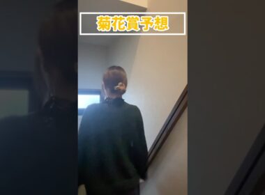 【菊花賞予想】みなさんの本命も教えてください！！#競馬予想 #菊花賞