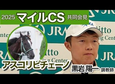 【マイルチャンピオンシップ2025】アスコリピチェーノの黒岩陽一調教師「納得のいく仕上がりに近づいている」…ＪＲＡ共同会見