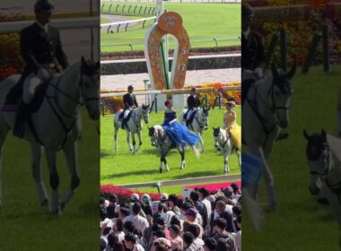 第21回ヴィクトリアマイル(GI)の誘導馬 サトノソルタス、ミライヘノツバサ、ボスジラ、シフルマン、タケルペガサス