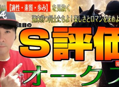 【オークス2026】距離の壁に挑む女王に東京もってこいの大将格に距離伸びて良さそうな伏兵陣！あなたのシナリオはどれですか？スターアニス、ラフターラインズ、アランカールら東京24牝馬決戦【競馬予想】