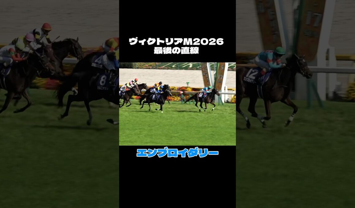 【エンブロイダリー】ヴィクトリアマイル2026 最後の直線【現地】 #shorts #競馬 #ルメール