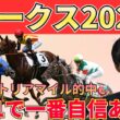 【オークス予想】あの人気馬は消し！逃げ馬は全部消しでＯＫ！差し決着の根拠と買うべき3頭＋危険人気＋激穴まで徹底解説