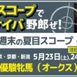 スターアニスのすべて　この桜花賞馬を買いますか？【夏目スコープ　予習編】#優駿牝馬 #オークス　出走予定登録馬から、本命候補で狙える馬、穴馬にロックオン【週末に向けての重賞競馬予想参考データ解説】