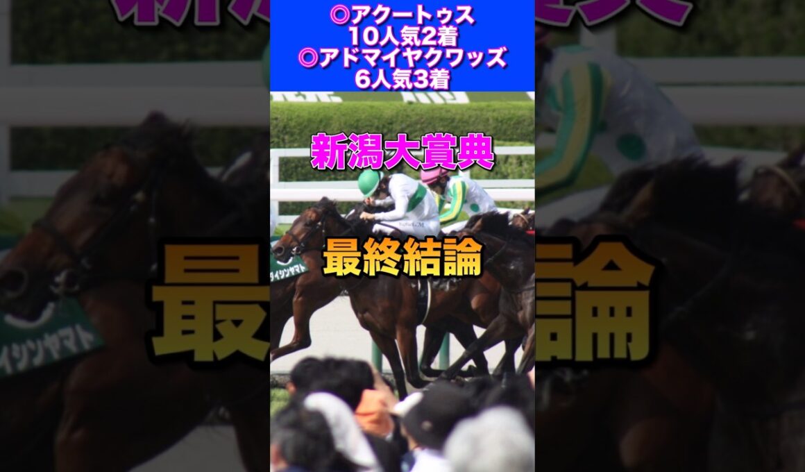【新潟大賞典2026最終結論】NHKマイル◎アドマイヤクワッズ6人気3着🔥