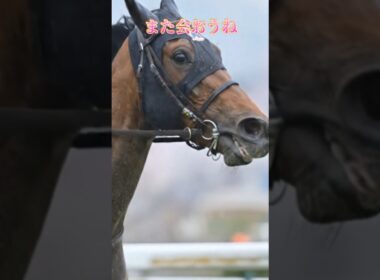 『また会おう』ヴィクトリアマイルを終えて