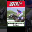 宝塚の面子が豪華すぎる！！【競馬反応集】　＃宝塚記念　＃クロワデュノール　＃メイショウタバル