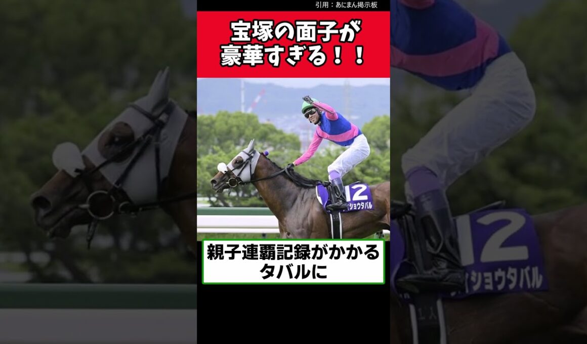 宝塚の面子が豪華すぎる！！【競馬反応集】　＃宝塚記念　＃クロワデュノール　＃メイショウタバル