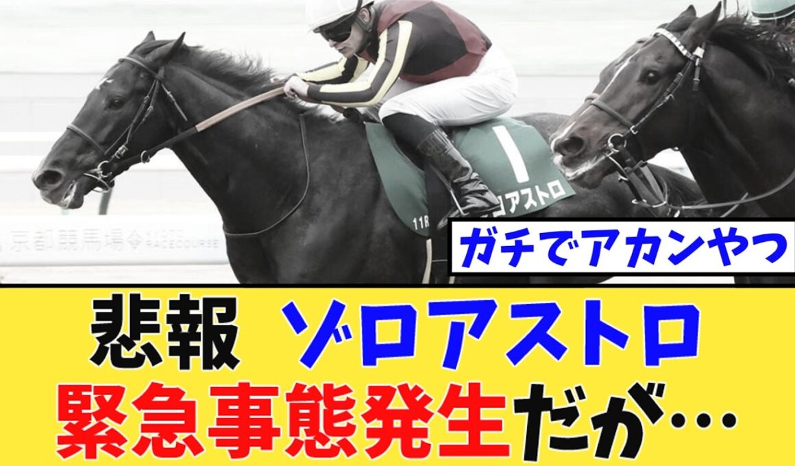 【悲報】ゾロアストロ、緊急事態発生で日本ダービーを回避だが…