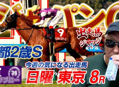 【2025 ジャパンC】出走馬ジャッジ #ジャパンC2025