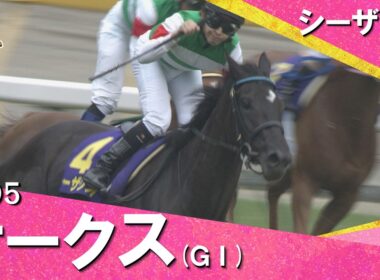 【福永祐一騎手に導かれシーザリオが戴冠】2005年オークス(ＧⅠ) シーザリオ【カンテレ公式】