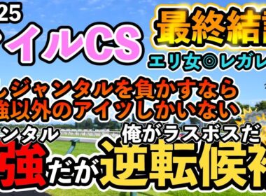 【マイルチャンピオンシップ2025最終結論】崖っぷちサラリーマンの競馬予想