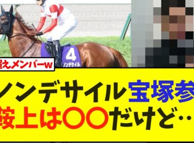 ダノンデサイル宝塚記念へ参戦！鞍上は〇〇に決定【競馬】