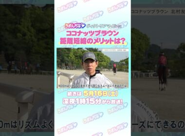ヴィクトリアマイル GⅠ トレセン直撃取材！ #競馬 #ヴィクトリアマイル #ココナッツブラウン #北村友一 騎手