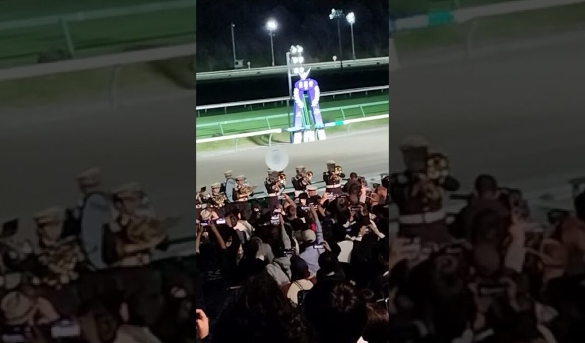 【盛岡競馬場】マイルチャンピオンシップ南部杯2025　ファンファーレ