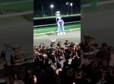 【盛岡競馬場】マイルチャンピオンシップ南部杯2025　ファンファーレ
