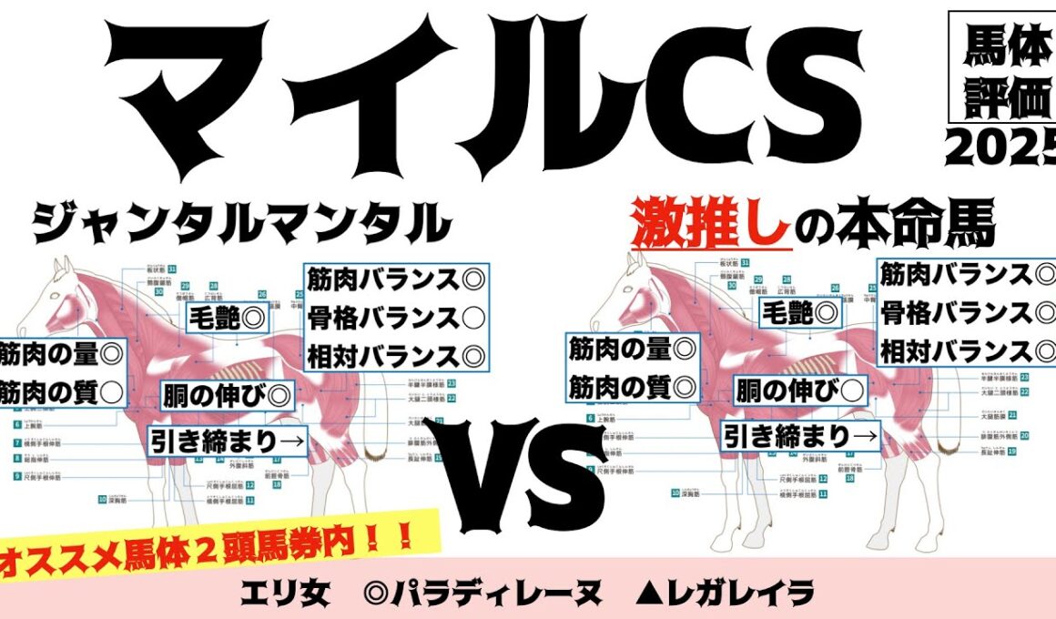 【マイルチャンピオンシップ2025】ジャンタルマンタルは良いとしてアスコリピチェーノどうした…？？【馬体評価】