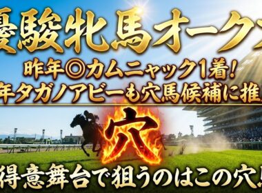 【優駿牝馬オークス2026】穴馬候補発表！昨年は最終人気するもカムニャック推奨1着！タガノアビーも穴馬候補に推薦！得意舞台で狙う穴馬はこの馬！