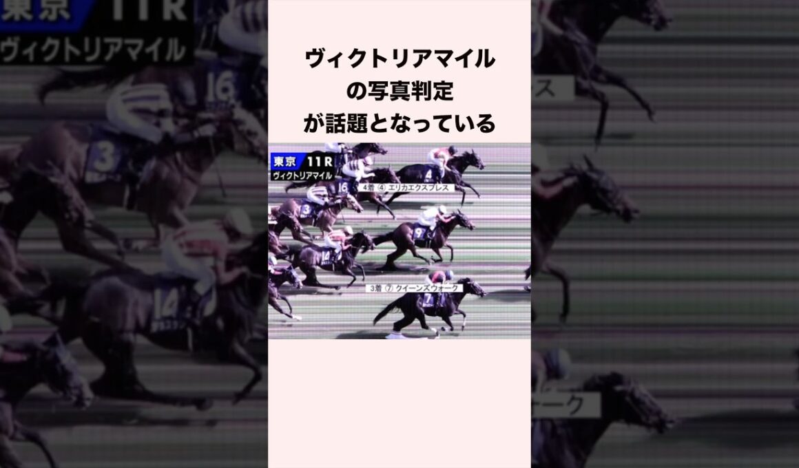 ヴィクトリアマイルの写真判定が話題となっている #競馬 #競馬予想 #shorts