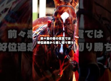 【オークス2026予想】近年は二桁人気の激走も多いオークスの穴馬2頭を厳選！